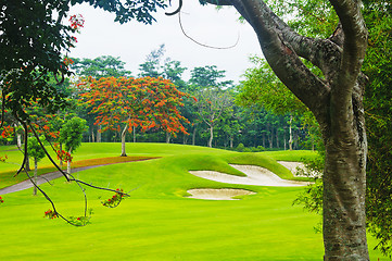 Image showing Golf Greens