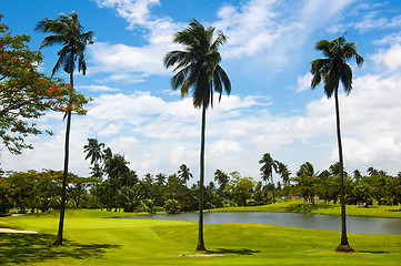 Image showing Golf Greens