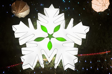 Image showing Lantern Snowflake