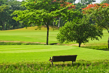 Image showing Golf Greens