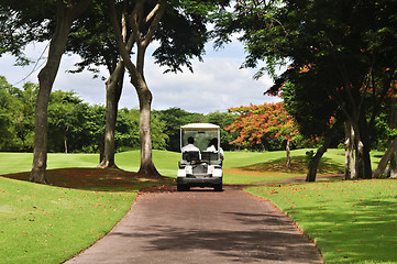 Image showing Golf Cart