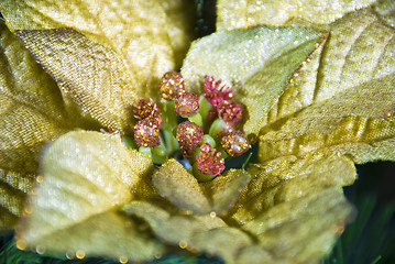 Image showing Christmas Ornament