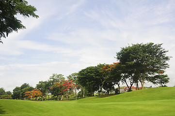 Image showing Golf Greens