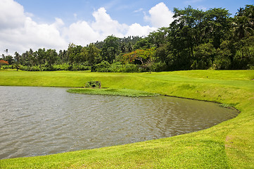 Image showing Golf Greens