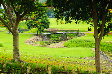 Image showing Golf Greens