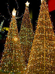 Image showing Christmas Trees