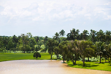 Image showing Golf Greens