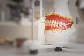 Image showing Dental Plate
