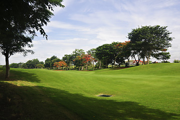 Image showing Golf Greens