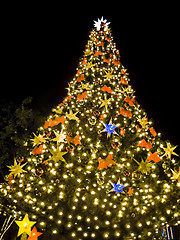 Image showing Christmas Tree