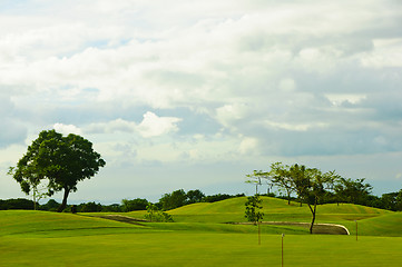 Image showing Golf Greens