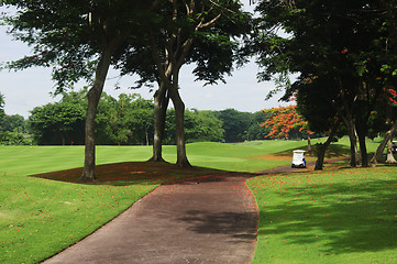 Image showing Golf Greens