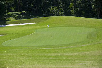 Image showing Golf Greens