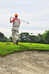 Image showing Golfer