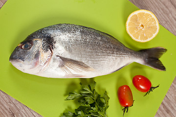 Image showing Fresh gilthead