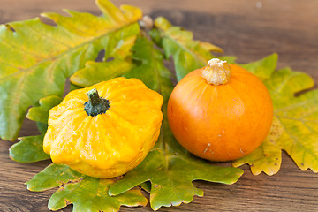 Image showing Decorative pumpkin