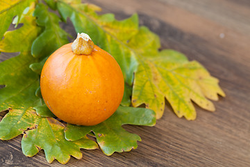 Image showing Decorative pumpkin