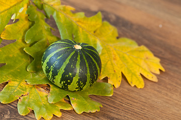 Image showing Decorative pumpkin