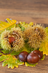 Image showing chestnuts