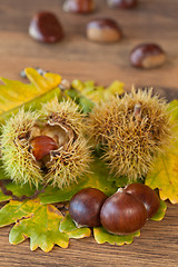 Image showing chestnuts