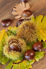 Image showing chestnuts