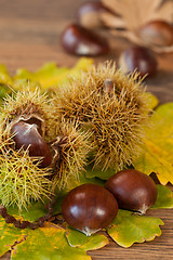 Image showing chestnuts