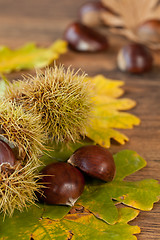 Image showing chestnuts