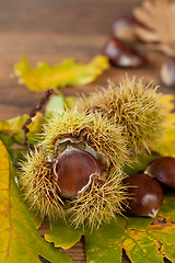 Image showing chestnuts