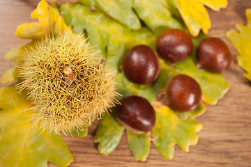 Image showing chestnuts