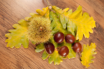 Image showing chestnuts