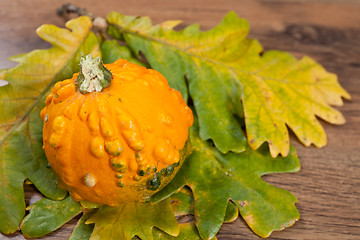 Image showing Decorative pumpkin