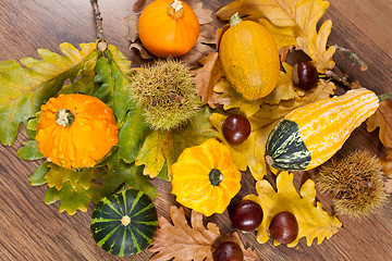 Image showing Decorative pumpkin