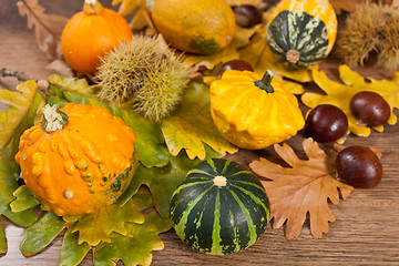 Image showing Decorative pumpkin