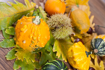 Image showing Decorative pumpkin