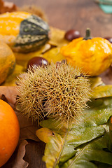 Image showing Decorative pumpkin