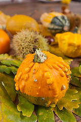 Image showing Decorative pumpkin