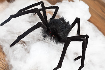 Image showing Halloween spider