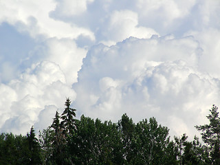 Image showing cumulus