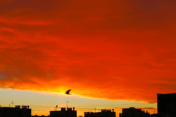 Image showing clouds  