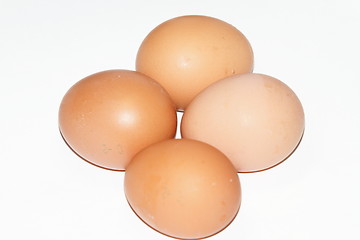 Image showing eggs