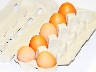 Image showing eggs