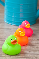 Image showing Rubber duck