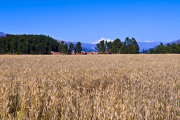 Image showing The Sacred valley