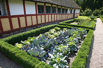 Image showing Farm house with cabbage garden