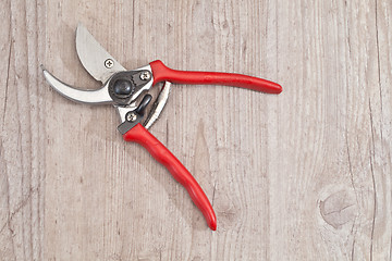 Image showing Gardening scissor