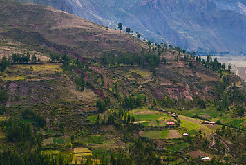 Image showing The Sacred valley