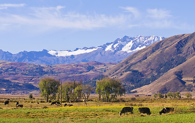 Image showing The Sacred valley