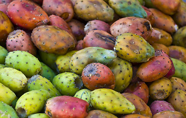 Image showing Cactus fruits