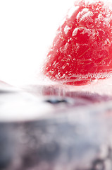 Image showing Raspberry and blackberry frozen in ice sticks