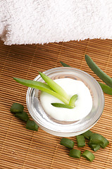 Image showing aloe vera - leaves and face cream